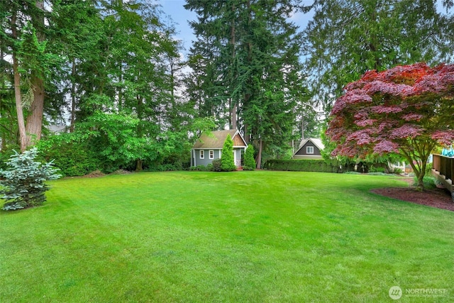 2418 83rd St NW, Gig Harbor, WA 98332 - view of yard