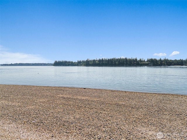 615 E Dana Dr, Shelton, WA 98584 - photo 13