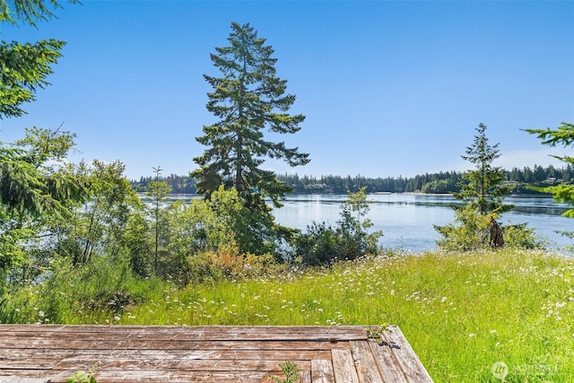 615 E Dana Dr, Shelton, WA 98584 - photo 2