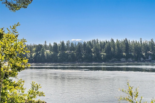 615 E Dana Dr, Shelton, WA 98584 - photo 7
