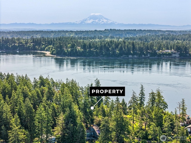 615 E Dana Dr, Shelton, WA 98584 - photo 8