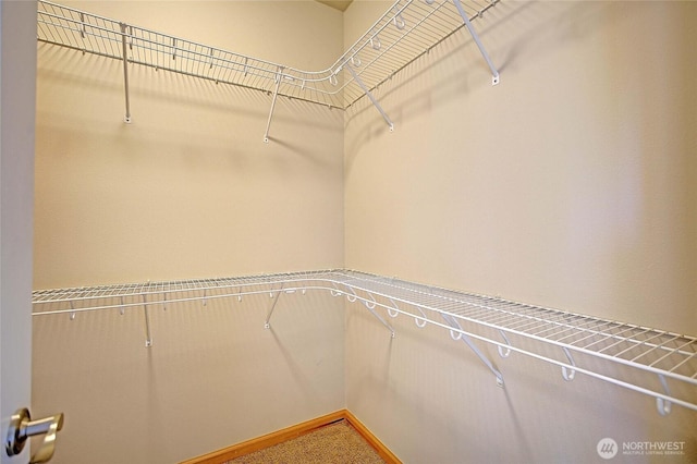 26306 2nd Ave NE, Arlington, WA 98223 - spacious closet with carpet flooring