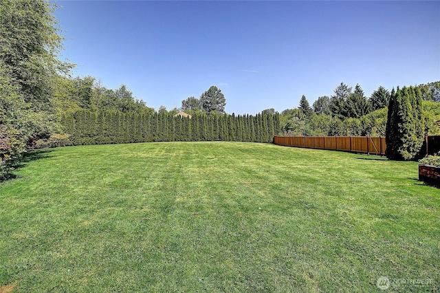 26306 2nd Ave NE, Arlington, WA 98223 - view of yard