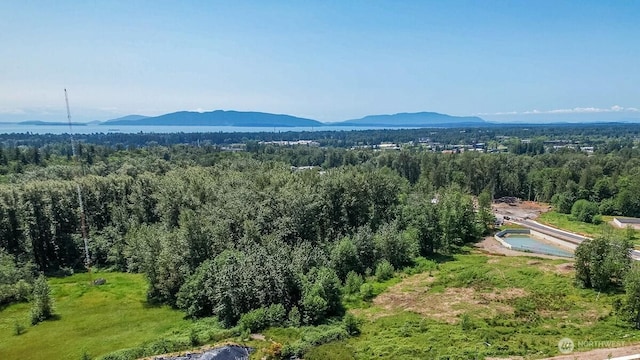 711 Blackstone Ln, Bellingham, WA 98226 - mountain view with a forest