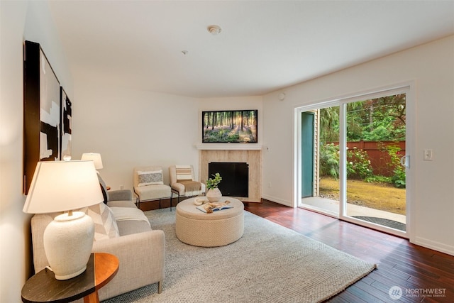 14251 73rd Ave NE Unit A101, Kirkland, WA 98034 - living area featuring a fireplace and dark wood-style floors