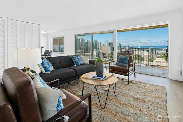 505 Belmont Ave E Unit 704, Seattle, WA 98102 - living room with wood finished floors