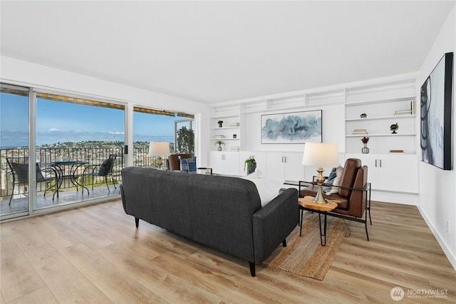 505 Belmont Ave E Unit 704, Seattle, WA 98102 - living room with light wood-type flooring and built in shelves