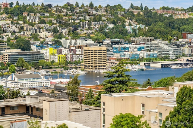 505 Belmont Ave E Unit 704, Seattle, WA 98102 - bird's eye view of a large body of water