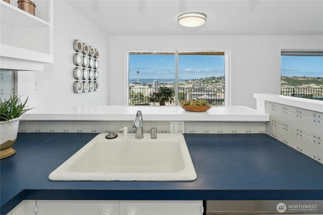 505 Belmont Ave E Unit 704, Seattle, WA 98102 - kitchen featuring a sink