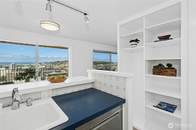 505 Belmont Ave E Unit 704, Seattle, WA 98102 - kitchen featuring open shelves and rail lighting