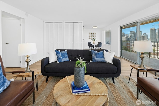 505 Belmont Ave E Unit 704, Seattle, WA 98102 - living area featuring light wood finished floors and a view of city