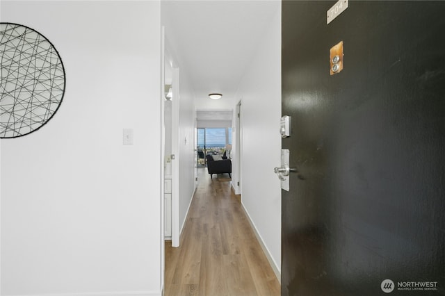 505 Belmont Ave E Unit 704, Seattle, WA 98102 - hall with light wood-type flooring and baseboards