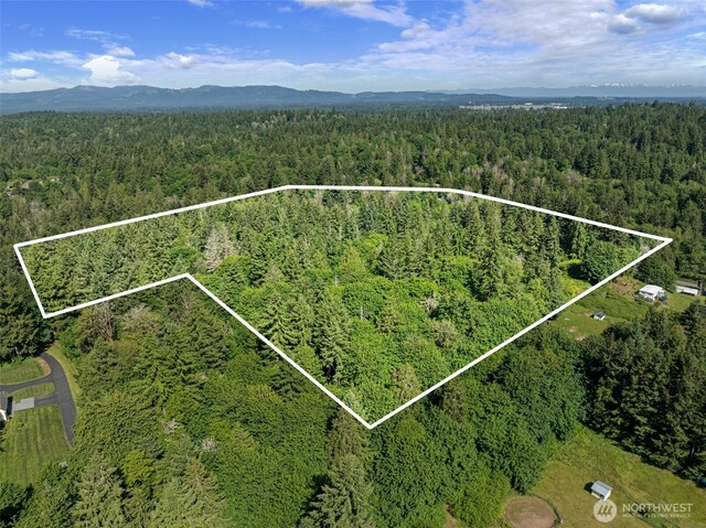 2625 Mccorkle Rd SE, Olympia, WA 98501 - photo 3
