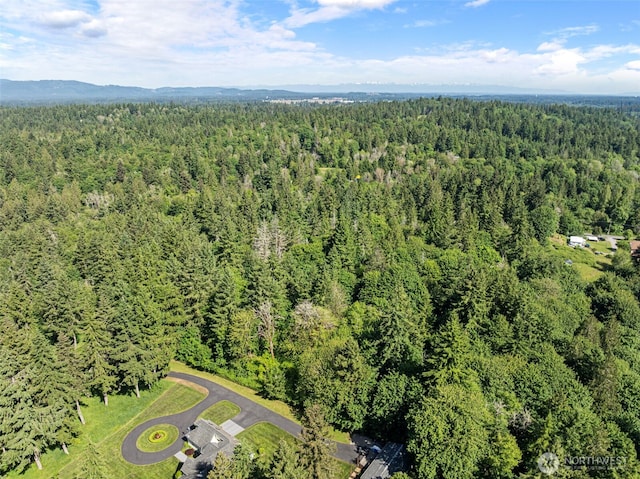 2625 Mccorkle Rd SE, Olympia, WA 98501 - photo 7