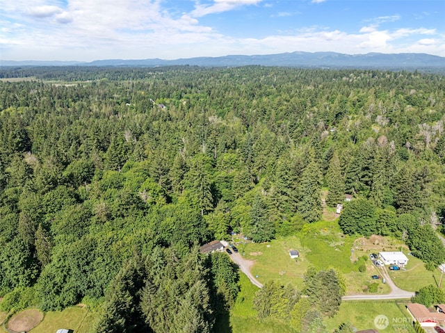 2625 Mccorkle Rd SE, Olympia, WA 98501 - photo 8