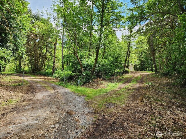 2625 Mccorkle Rd SE, Olympia, WA 98501 - photo 10