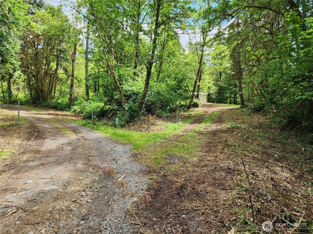 2625 Mccorkle Rd SE, Olympia, WA 98501 - photo 13