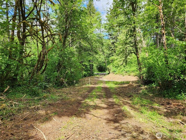 2625 Mccorkle Rd SE, Olympia, WA 98501 - photo 14