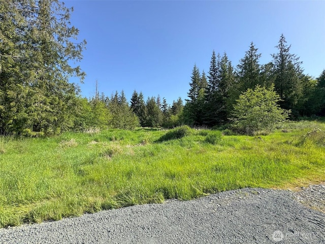1622 E Wabash St, Port Angeles, WA 98362