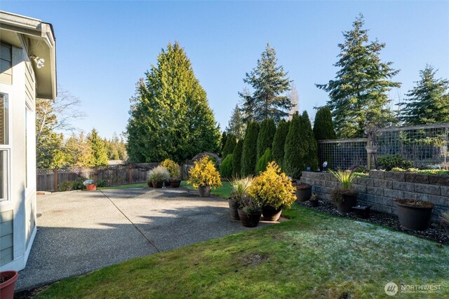 8148 Quinault Rd, Blaine, WA 98230 - view of yard featuring a patio