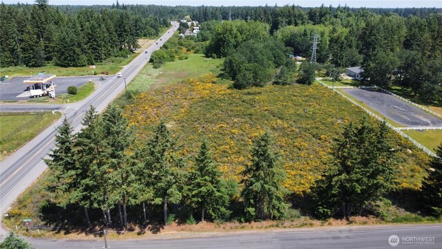 26527 Mountain Hwy E, Spanaway, WA 98387 - photo 12