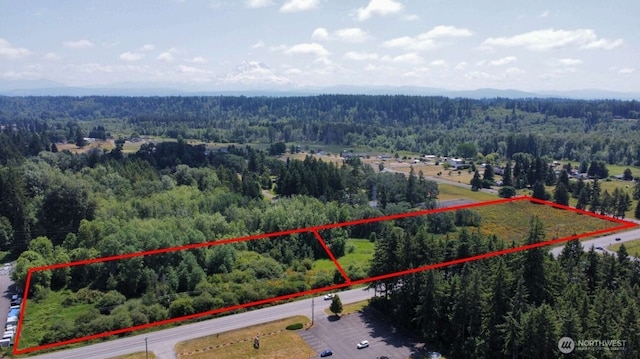 26527 Mountain Hwy E, Spanaway, WA 98387 - photo 1