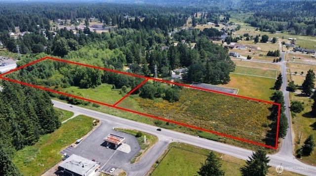26527 Mountain Hwy E, Spanaway, WA 98387 - photo 3