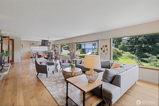 8814 Earl Ave NW, Seattle, WA 98117 - living area with a textured ceiling and light wood-type flooring