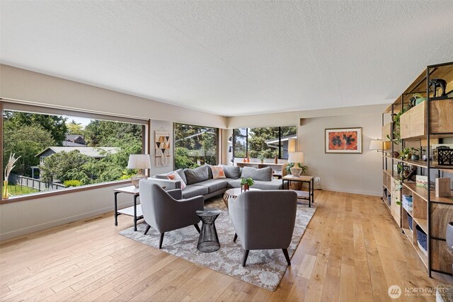 8814 Earl Ave NW, Seattle, WA 98117 - living area featuring plenty of natural light, light wood-style flooring, and a textured ceiling
