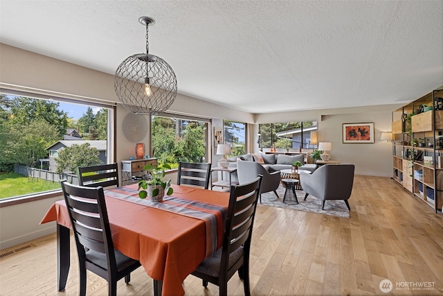8814 Earl Ave NW, Seattle, WA 98117 - dining room with light wood-style flooring and a textured ceiling