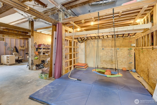 8814 Earl Ave NW, Seattle, WA 98117 - view of below grade area