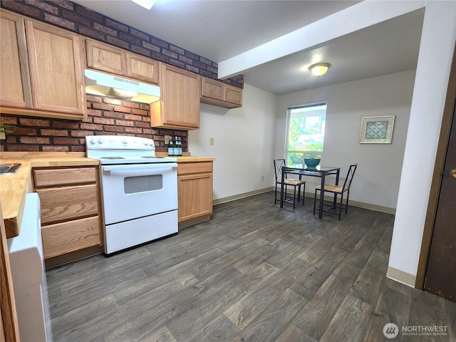 4608 73rd Street Ct E, Tacoma, WA 98443 - kitchen featuring under cabinet range hood, electric range, dark wood-type flooring, baseboards, and light brown cabinets
