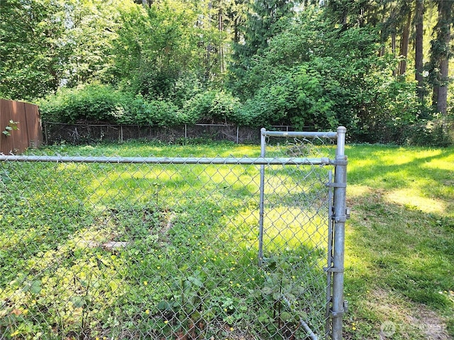 4608 73rd Street Ct E, Tacoma, WA 98443 - view of yard