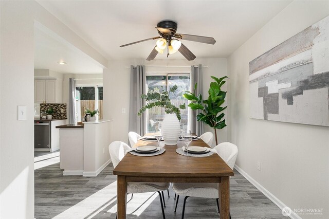 17913 158th Pl SE, Renton, WA 98058 - dining space with wood finished floors, a ceiling fan, and baseboards