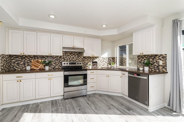 17913 158th Pl SE, Renton, WA 98058 - kitchen with stainless steel appliances, under cabinet range hood, dark countertops, a sink, and light wood-type flooring