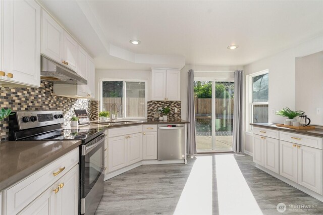 17913 158th Pl SE, Renton, WA 98058 - kitchen with stainless steel appliances, under cabinet range hood, light wood-style floors, a sink, and decorative backsplash