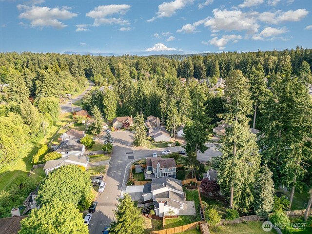 17913 158th Pl SE, Renton, WA 98058 - aerial view of property and surrounding area with a forest and nearby suburban area
