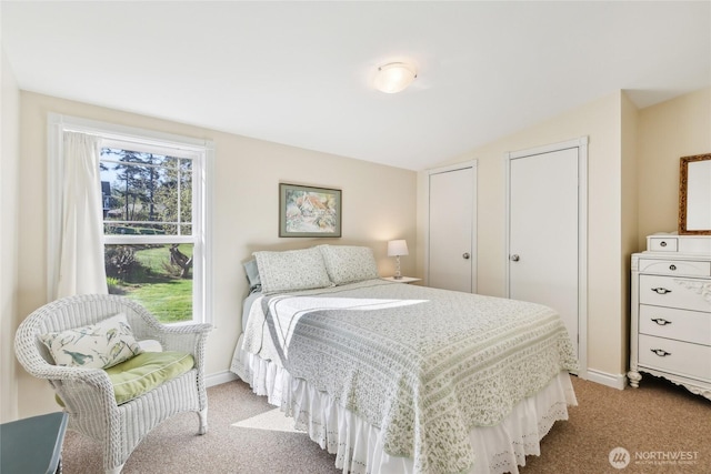 3486 Holmes View Dr, Langley, WA 98260 - bedroom with carpet, multiple closets, and baseboards