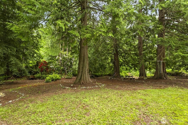 18111 Montborne Rd, Mount Vernon, WA 98274 - photo 15