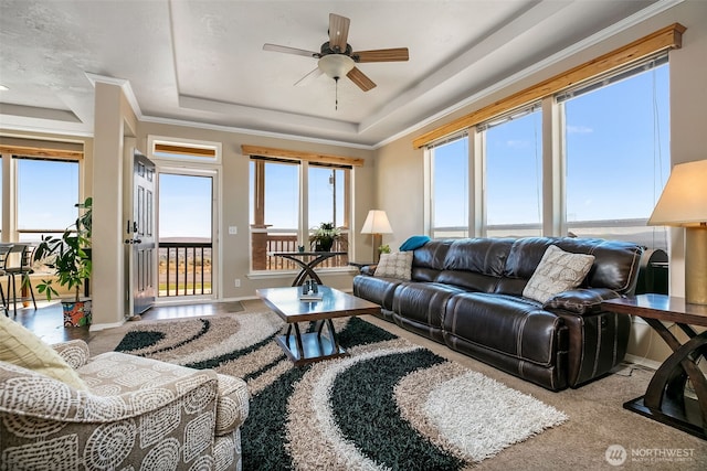 411 Terrett Way, Yakima, WA 98901 - living room with a raised ceiling, a ceiling fan, baseboards, and crown molding