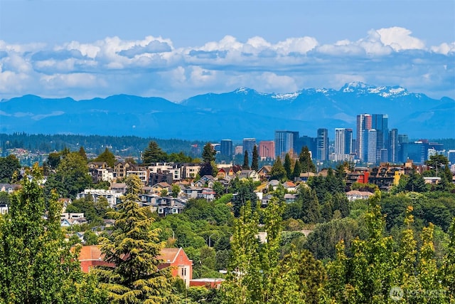 2012 14th Ave S, Seattle, WA 98144 - city view featuring mountains