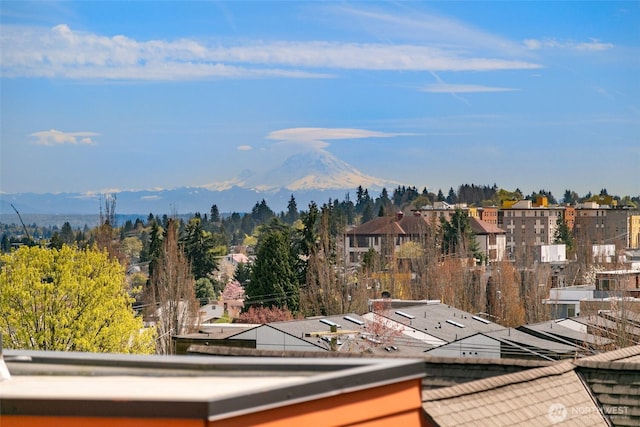 2012 14th Ave S, Seattle, WA 98144 - mountain view