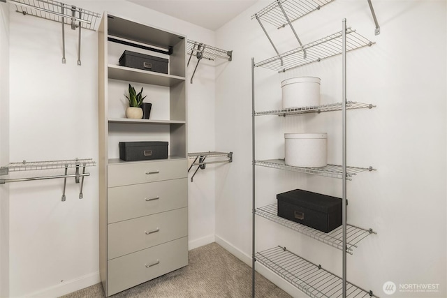 2012 14th Ave S, Seattle, WA 98144 - walk in closet featuring light carpet