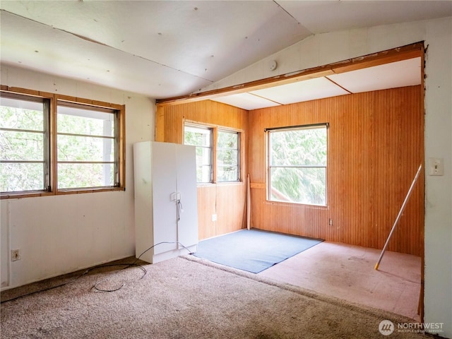 9712 Channel Dr NW, Olympia, WA 98502 - carpeted spare room with wooden walls and lofted ceiling