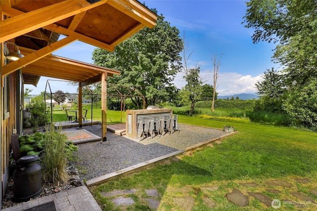 329 Columbia St, Sumas, WA 98295 - view of grassy yard featuring a patio area
