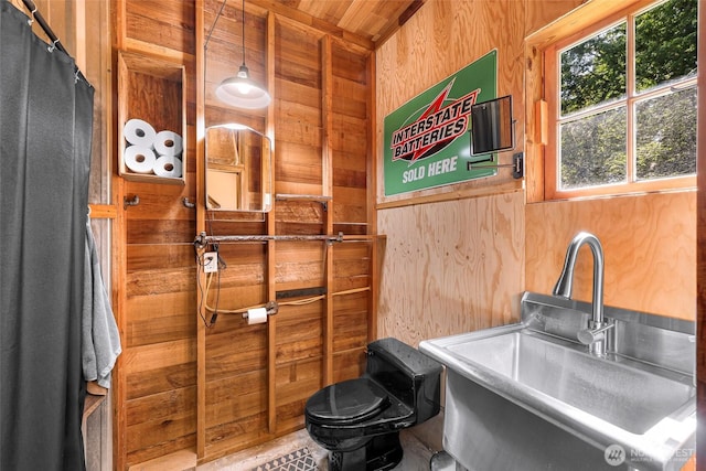 329 Columbia St, Sumas, WA 98295 - bathroom featuring wood walls, wood ceiling, toilet, and a sink