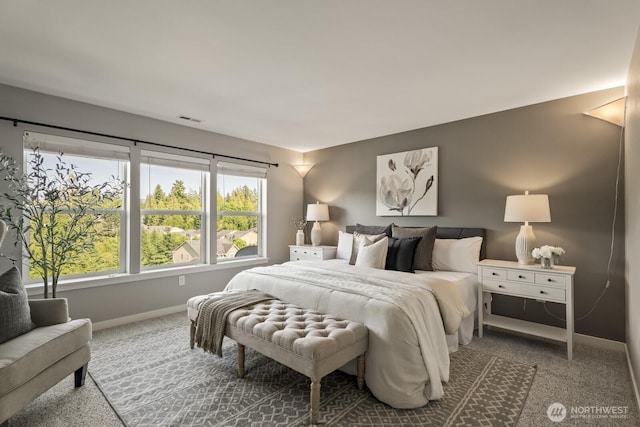 26216 SE 228th Ave SE Unit 26216, Maple Valley, WA 98038 - carpeted bedroom with baseboards