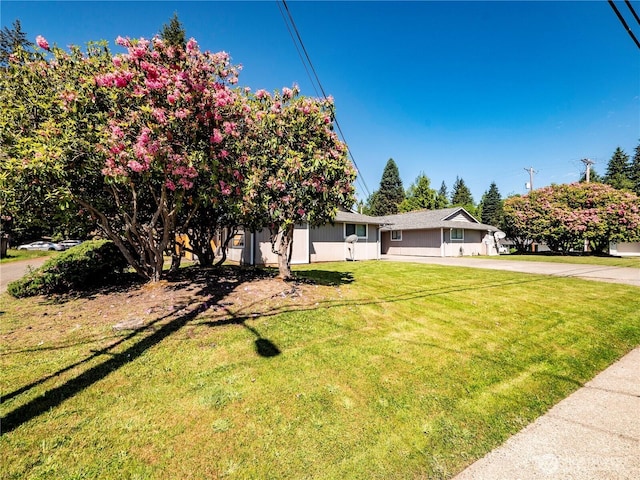919 Harding Rd, Elma, WA 98541 - view of front of home with a front lawn and driveway