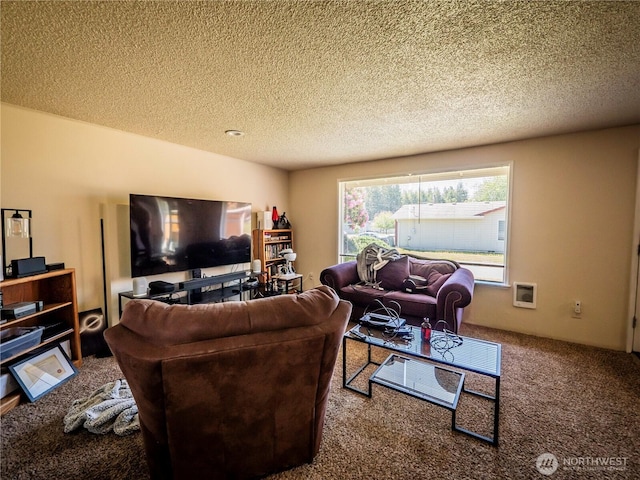 919 Harding Rd, Elma, WA 98541 - living room featuring carpet and a textured ceiling