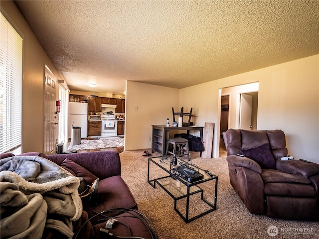 919 Harding Rd, Elma, WA 98541 - carpeted living area featuring a textured ceiling